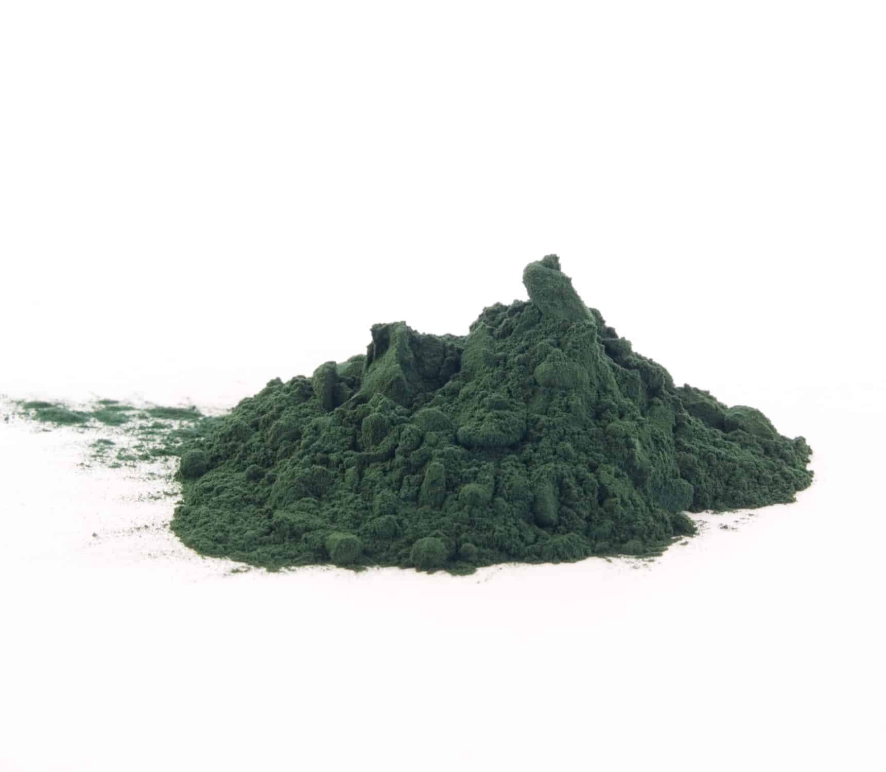 spiruline poudre